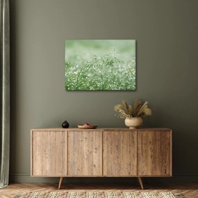 Obraz - Poranna rosa na źdźbłach trawy (70x50 cm)