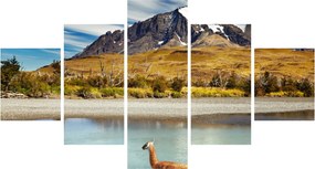 Obraz - Park Narodowy Torres del Paine (125x70 cm)