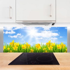 Panel Szklany Wiosenne Żonkile w Trawie