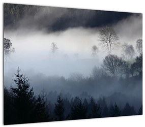 Obraz mgły nad lasem (70x50 cm)