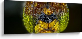 Szczegółowy obraz oczu owadów (z zegarem) (90x30 cm)