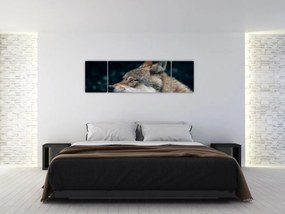 Obraz wilka (170x50 cm)