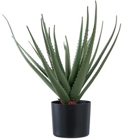 Sztuczna roślina (wysokość 51 cm) Aloe Vera – House Nordic