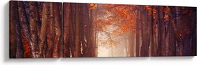 Obraz - Jesienny las (170x50 cm)