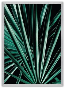 Plakat Dark Palm Tree