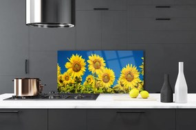 Szkło do Kuchni na Ścianę Radosne Pole Słoneczników