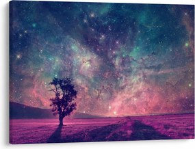 Obraz - Nieziemskie nocne niebo (70x50 cm)