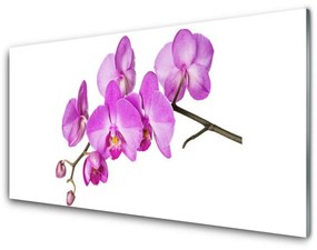 Obraz Szklany Storczyk Orchidea Kwiaty