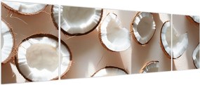 Obraz - Kokosy (170x50 cm)