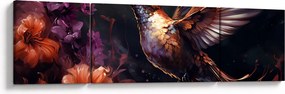 Obraz - Koliber (170x50 cm)