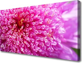 Obraz na płótnie Botaniczna Dekoracja Ścienna