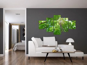 Obraz - Las (125x70 cm)