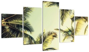 Obraz z palmami kokosowymi (125x70 cm)