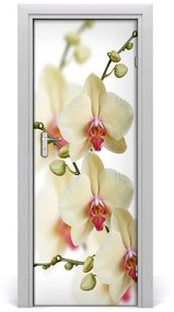 Naklejka samoprzylepna na drzwi Orchidea