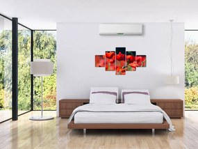 Obraz - maki (125x70 cm)