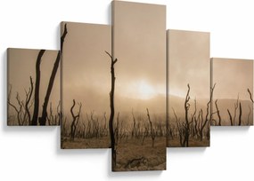 Obraz - Nagie drzewa (125x70 cm)