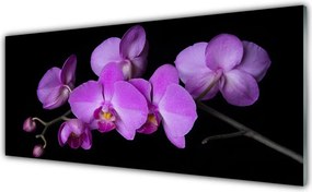 Panel Szklany Szlachetna Elegancja Storczyka