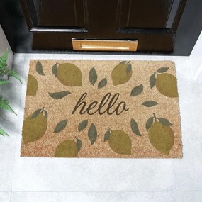 Wycieraczka z włókna kokosowego 40x60 cm Hello Lemons – Artsy Doormats