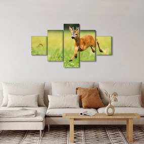 Obraz - Sarna (125x70 cm)