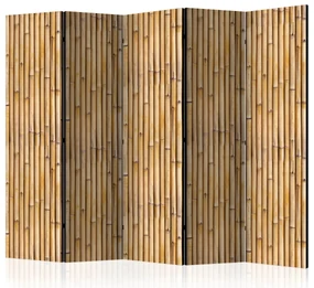 Parawan dwustronny Tła i desenie 225x172 cm 5-częściowy beżowy ARTGEIST B