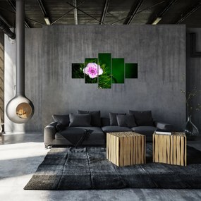 Obraz kwiatu róży (125x70 cm)