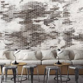 Fototapeta - Ceglany mur II. (196x136 cm)