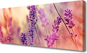 Obraz canvas Kompozycja Kwiatów i Natury