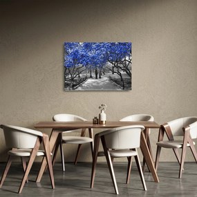 Obraz na szkle - Niebieskie drzewa, Central Park, New York (70x50 cm)