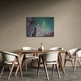 Obraz zorzy polarnej nad zamarzniętymi drzewami (70x50 cm)