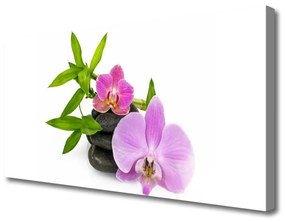 Obraz Canvas Kwiat Orchidea Roślina