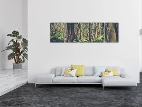 Obraz ścieżki pomiędzy drzewami (170x50 cm)