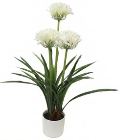 Sztuczny kwiat w doniczce Agapant, 50 x 80 cm