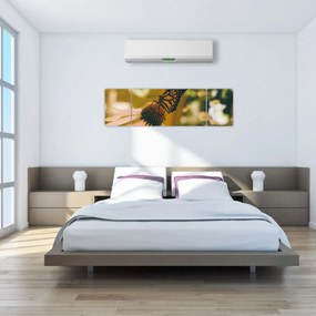 Obraz motyla na kwiatku (170x50 cm)