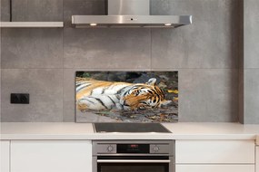 Szklany Panel Odpoczywający Tygrys