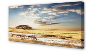 Zdjęcie na płótnie Zebry i Drzewo na Tle Chmur