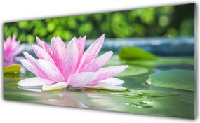 Panel Szklany Kwiat Lotosu na Lustrze Wody