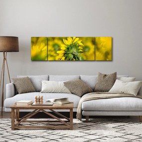 Obraz słonecznika (170x50 cm)