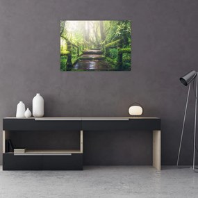 Obraz - drewniane schody w lesie (70x50 cm)
