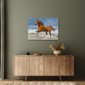 Obraz na szkle konia na plaży (70x50 cm)