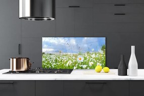 Panel Kuchenny Dywan Białych Stokrotek