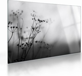 Obraz na szkle - Detal kwiatów polnych (70x50 cm)