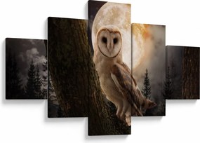 Obraz sowy palonej (125x70 cm)