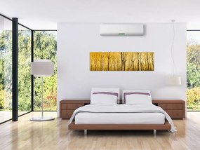 Obraz lasu o zachodzie słońca (170x50 cm)