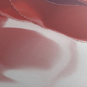 Obraz - Czerwony abstrakcyjny kwiat N⁰3 (170x50 cm)