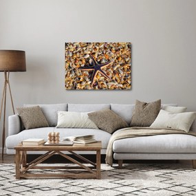 Obraz rozgwiazdy (70x50 cm)