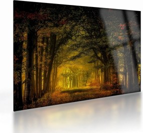 Obraz na szkle lasu (70x50 cm)