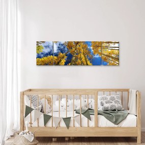 Obraz - Aspen (170x50 cm)