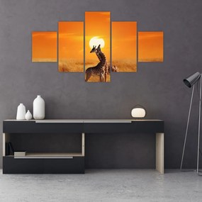 Obraz - Żyrafy w Parku Narodowym Serengeti (125x70 cm)