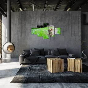 Obraz dmuchawca (125x70 cm)