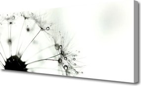 Obraz na płótnie Puszysta Kula Mniszka